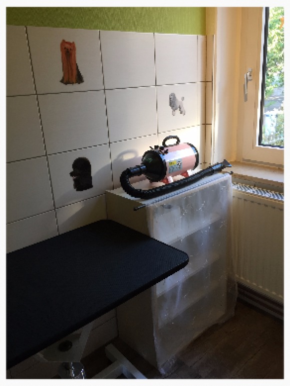 Föhntisch